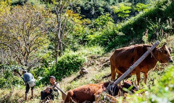 原创 云南有一处绝美的小村庄,位于怒江茶马古道,犹如当代世外桃源13
