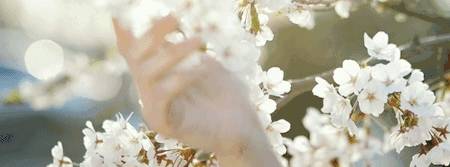 原创 女王的法式园林,典藏世界的优雅意境,在十堰,终于寻得它...2