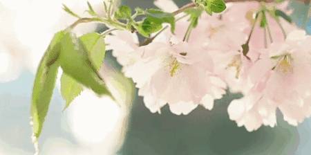 原创 女王的法式园林,典藏世界的优雅意境,在十堰,终于寻得它...6