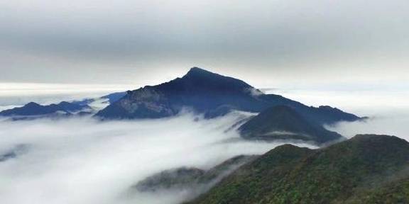 原创 下雪的梵净山，你一定没有亲眼看过，银装素裹，满地雪白3