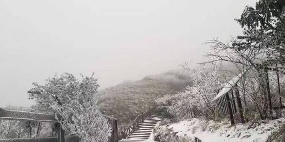 原创 下雪的梵净山，你一定没有亲眼看过，银装素裹，满地雪白8