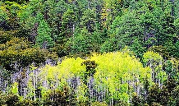 原创 第五次进藏:嘎贡沟观“珍珠天池”、“神湖”15