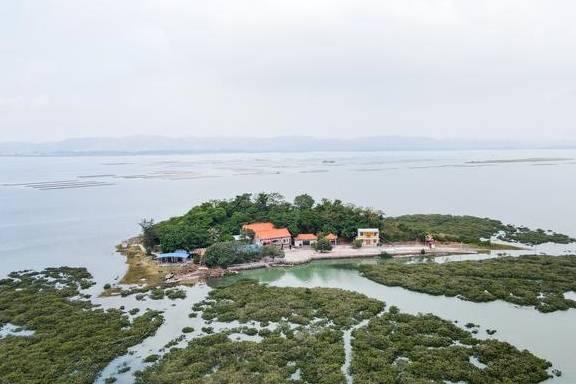 原创 北海市这里完全可以开发成4A级景区,有海岛、有山、有红树林5