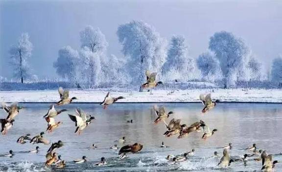 原创 冬季最美自驾线路,请收藏!8