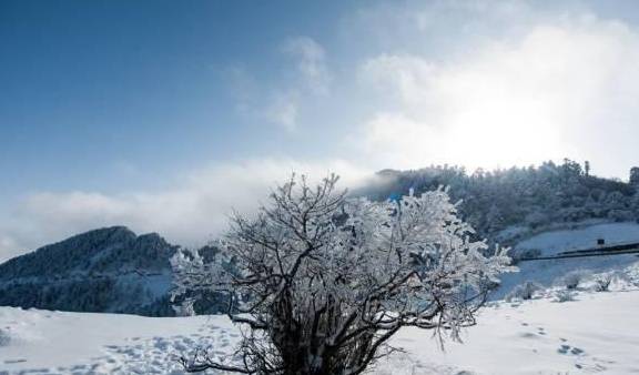 原创 冬季最美自驾线路,请收藏!9