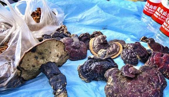 原创 十元六个灵芝蛋,哪里有?随我来,看景、尝美食,听花木兰的故事11