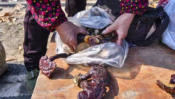 原创 十元六个灵芝蛋,哪里有?随我来,看景、尝美食,听花木兰的故事9