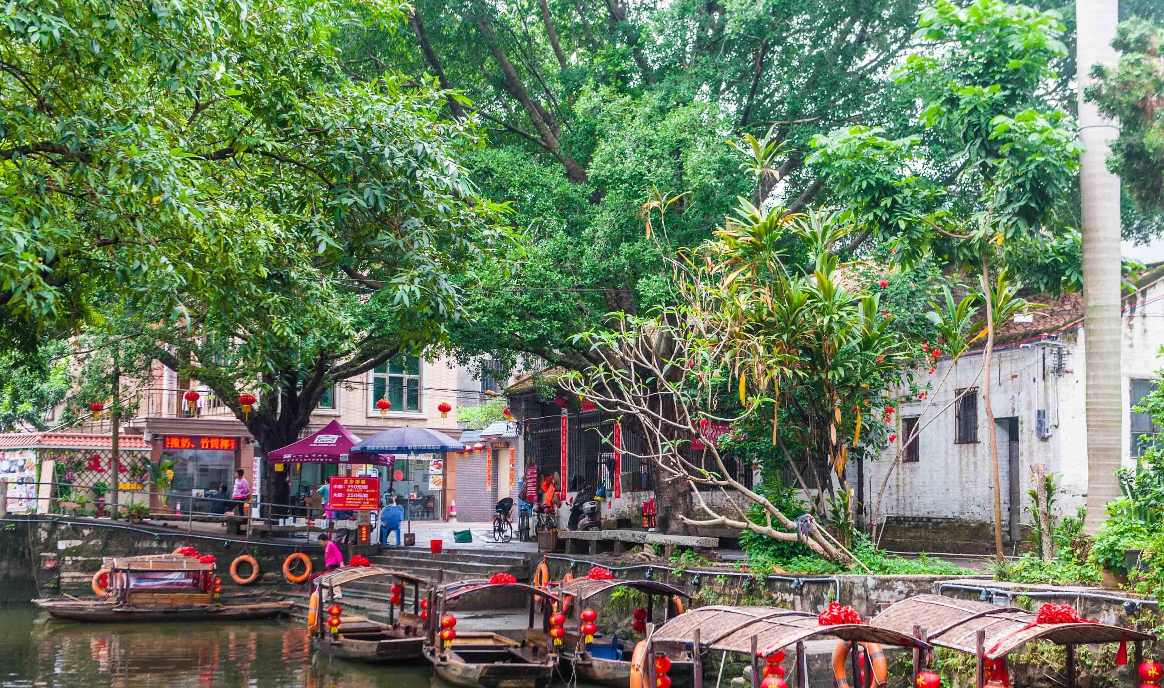 原创 这里被称为“顺德周庄”，有古典的水乡风景，最适合珠三角周末游7