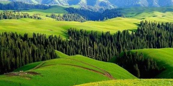 原创 女县长策马奔腾的伊犁有多美?让可可托海的男人等得心碎6