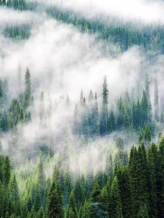 原创 女县长策马奔腾的伊犁有多美?让可可托海的男人等得心碎7