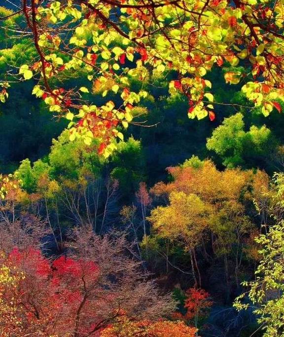 原创 女县长策马奔腾的伊犁有多美?让可可托海的男人等得心碎14