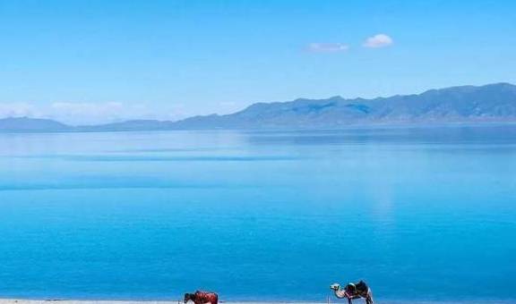 原创 女县长策马奔腾的伊犁有多美?让可可托海的男人等得心碎15