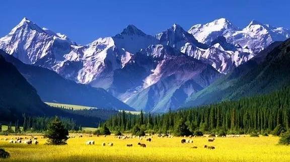 原创 女县长策马奔腾的伊犁有多美?让可可托海的男人等得心碎17