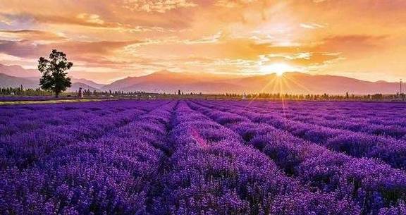 原创 女县长策马奔腾的伊犁有多美?让可可托海的男人等得心碎18