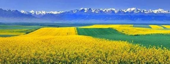 原创 女县长策马奔腾的伊犁有多美?让可可托海的男人等得心碎19