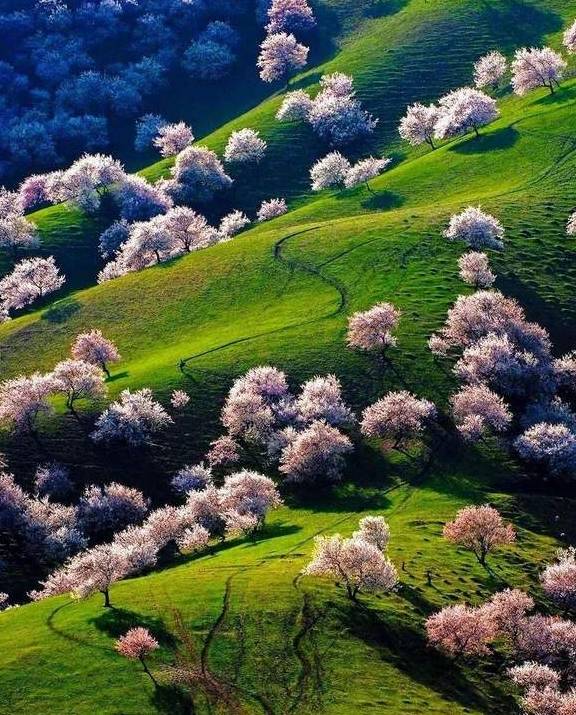 原创 女县长策马奔腾的伊犁有多美?让可可托海的男人等得心碎20