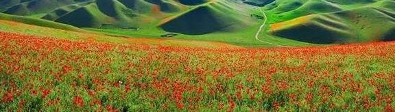 原创 女县长策马奔腾的伊犁有多美?让可可托海的男人等得心碎21