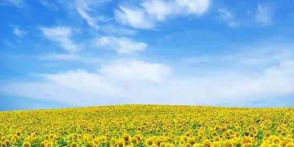 原创 女县长策马奔腾的伊犁有多美?让可可托海的男人等得心碎22