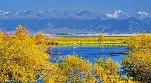 原创 女县长策马奔腾的伊犁有多美?让可可托海的男人等得心碎25