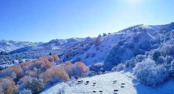 原创 女县长策马奔腾的伊犁有多美?让可可托海的男人等得心碎28