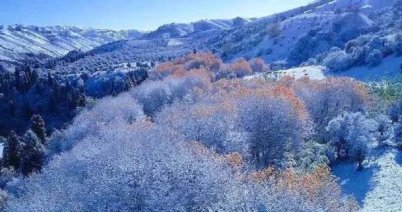 原创 女县长策马奔腾的伊犁有多美?让可可托海的男人等得心碎29