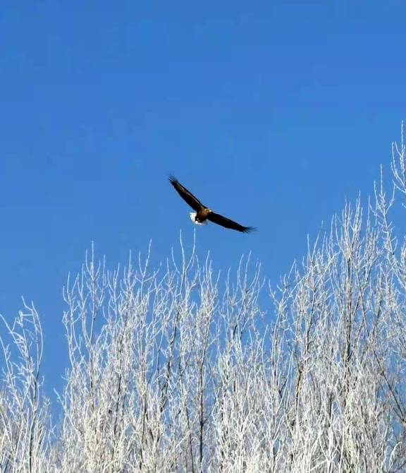 原创 女县长策马奔腾的伊犁有多美?让可可托海的男人等得心碎30