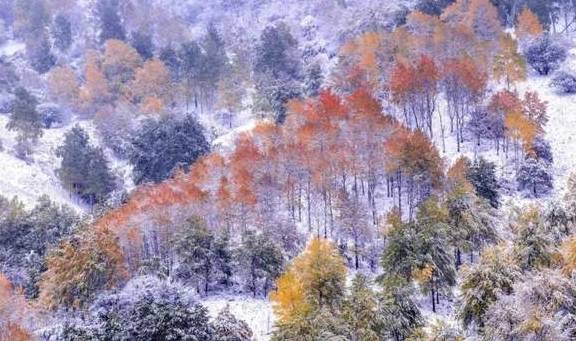 原创 女县长策马奔腾的伊犁有多美?让可可托海的男人等得心碎31