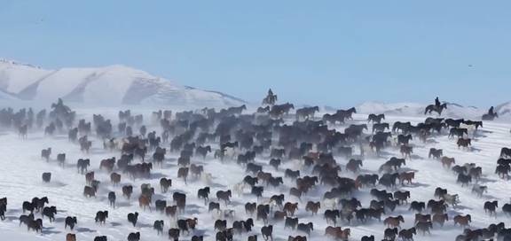 原创 女县长策马奔腾的伊犁有多美?让可可托海的男人等得心碎36