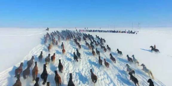 原创 女县长策马奔腾的伊犁有多美?让可可托海的男人等得心碎38