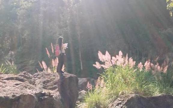 原创 永嘉一条百走不厌的醉美古道,你去过吗?3