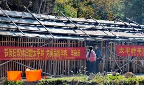 原创 永嘉一条百走不厌的醉美古道,你去过吗?4