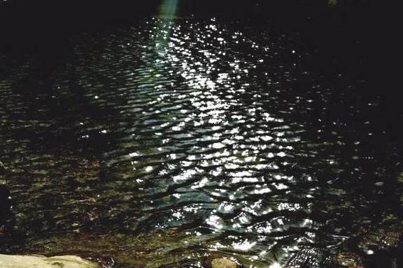 原创 永嘉一条百走不厌的醉美古道,你去过吗?6