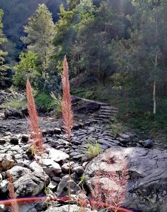 原创 永嘉一条百走不厌的醉美古道,你去过吗?9