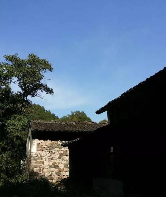 原创 永嘉一条百走不厌的醉美古道,你去过吗?13