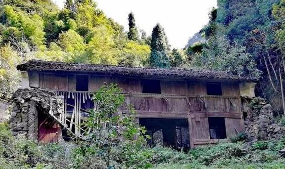 原创 永嘉一条百走不厌的醉美古道,你去过吗?15