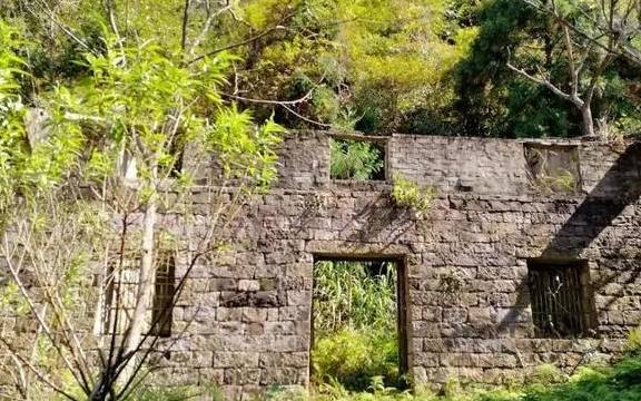 原创 永嘉一条百走不厌的醉美古道,你去过吗?16