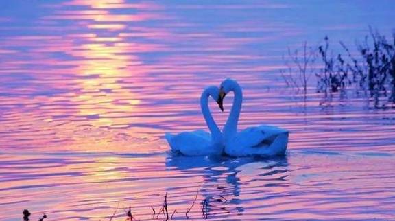 原创 12月必去的24个高性价比旅行地,欠自己的旅行一定要还给自己32