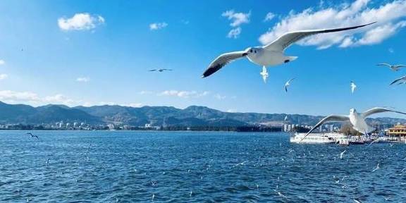 原创 12月必去的24个高性价比旅行地,欠自己的旅行一定要还给自己35