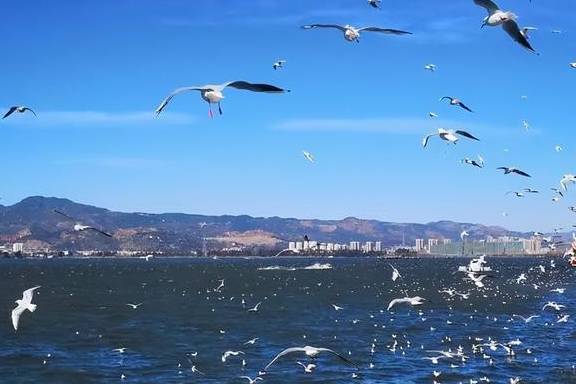 原创 12月必去的24个高性价比旅行地,欠自己的旅行一定要还给自己36