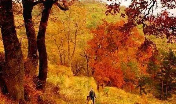 原创 12月必去的24个高性价比旅行地,欠自己的旅行一定要还给自己37