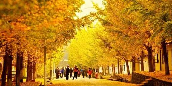 原创 12月必去的24个高性价比旅行地,欠自己的旅行一定要还给自己39