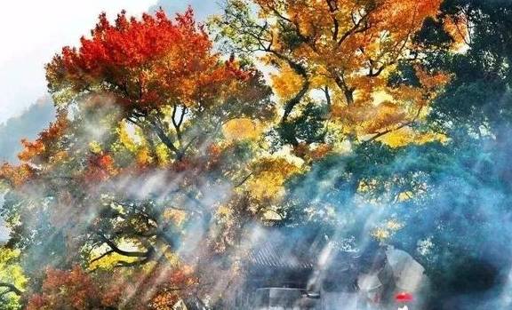 原创 12月必去的24个高性价比旅行地,欠自己的旅行一定要还给自己40