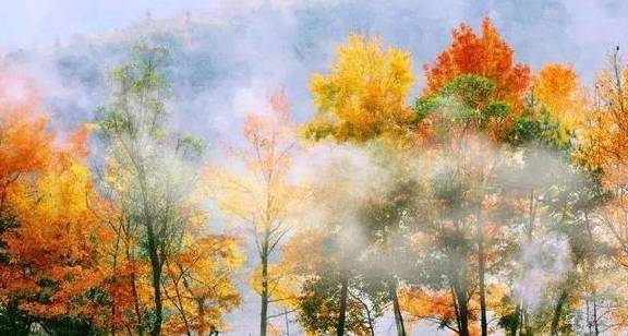 原创 12月必去的24个高性价比旅行地,欠自己的旅行一定要还给自己41