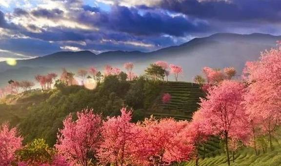 原创 12月必去的24个高性价比旅行地,欠自己的旅行一定要还给自己43