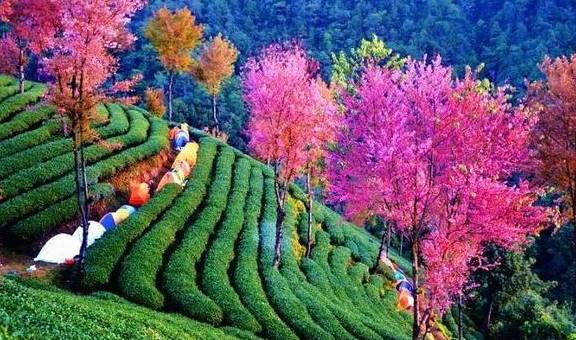 原创 12月必去的24个高性价比旅行地,欠自己的旅行一定要还给自己44