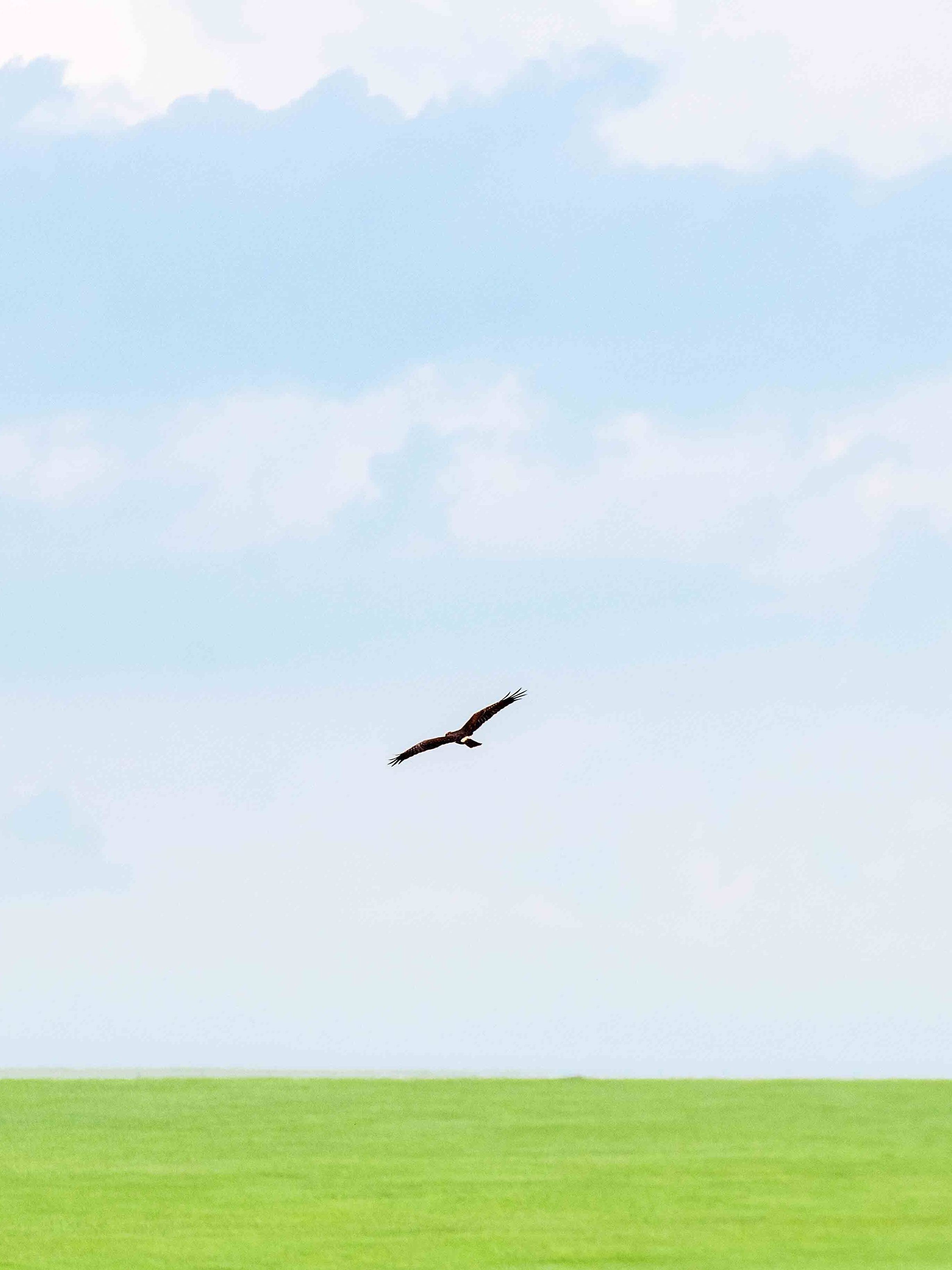 原创 内蒙古哪儿草原最美?这里有变幻莫测的美景,旅行达人强烈推荐!2