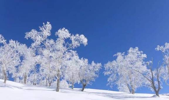 原创 冬季来长白山不封山只疯玩！长白山粉雪节启动6