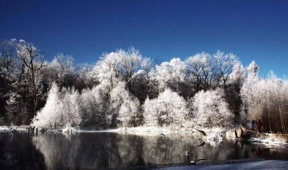 原创 冬季来长白山不封山只疯玩！长白山粉雪节启动8