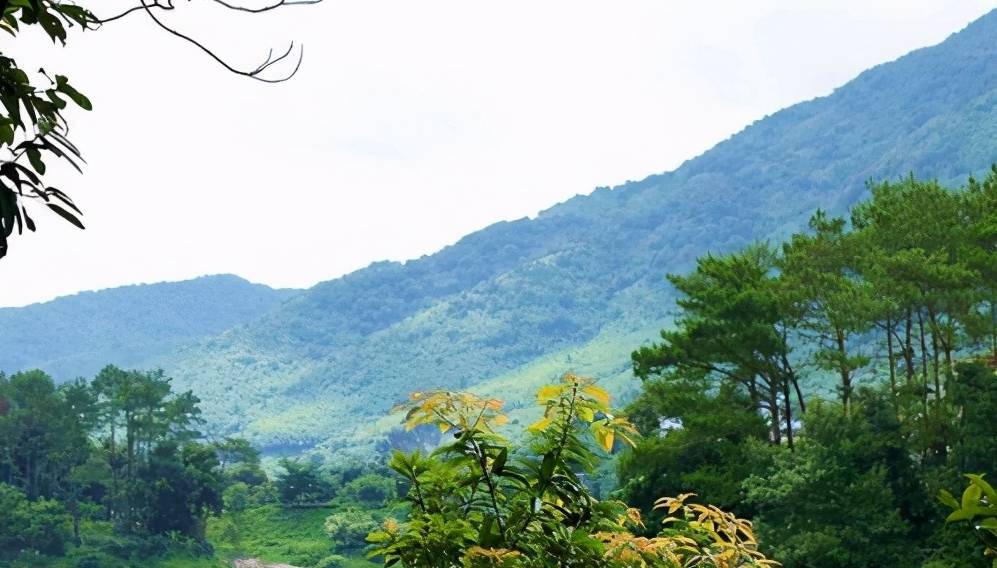 原创 广州一处天然佳境,堪称“资源宝库”,耗资9千万打造门票免费2