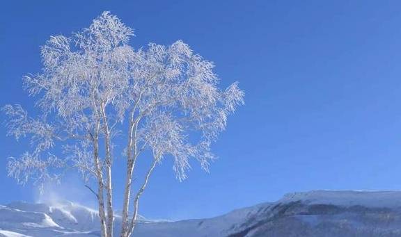 原创 冬季来长白山不封山只疯玩！长白山粉雪节启动11